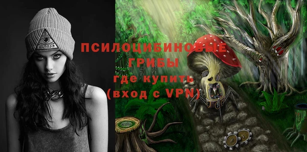 хмурый Балахна